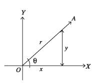 Trigonometric Ratios