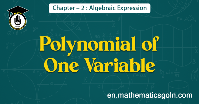 Polynomial of One Variable