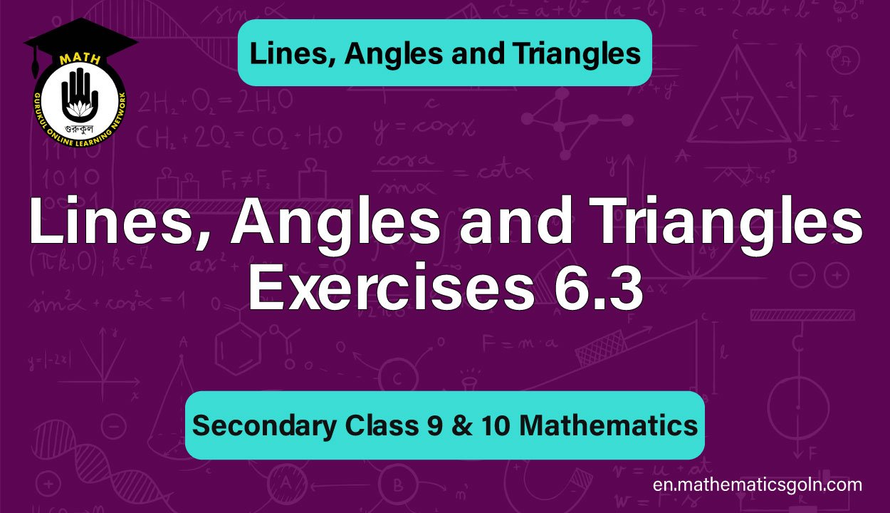 Lines, Angles and Triangles Exercises 6.3