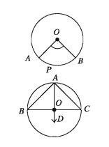 The arc of a circle