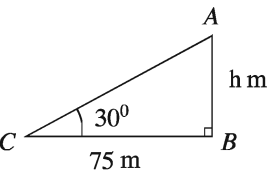 Horizontal Line, Vertical Line and Vertical Plane