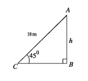 Horizontal Line, Vertical Line and Vertical Plane