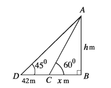 Horizontal Line, Vertical Line and Vertical Plane