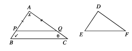 Similarity of Mathematics