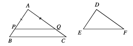 Similarity of Mathematics