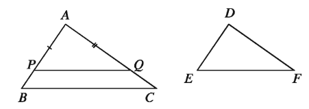 Similarity of Mathematics