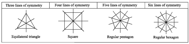 Important Geometrical Concept of Symmetry