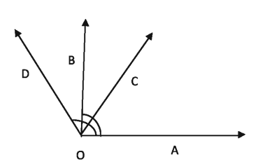 Lines, Angles and Triangles Exercises 6.3
